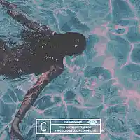 Picture for song 'dive (clams casino)' by artist 'CLICK HERE TO PLAY'