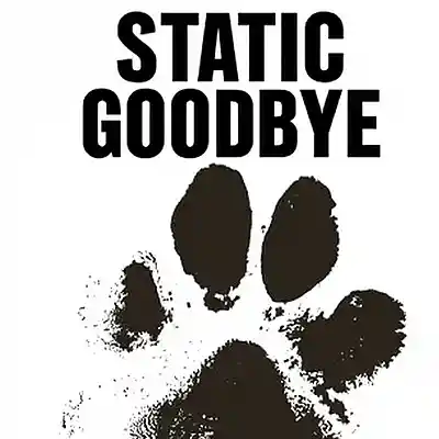 Picture for song 'Static Goodbye' by artist 'EL-Pero'