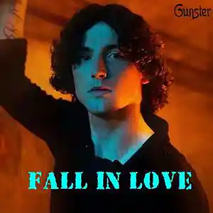 Picture for song 'Fall In Love' by artist 'Gunster'