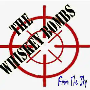 Picture for song 'From The Sky' by artist 'The Whiskey Bombs'