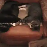 Picture for song 'All in A Name' by artist 'Warren Project'