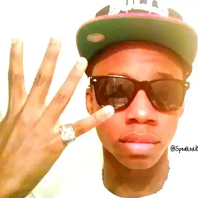 Picture for song 'WIP - Speaker Knockerz WIP Beat' by artist '1A.I.'