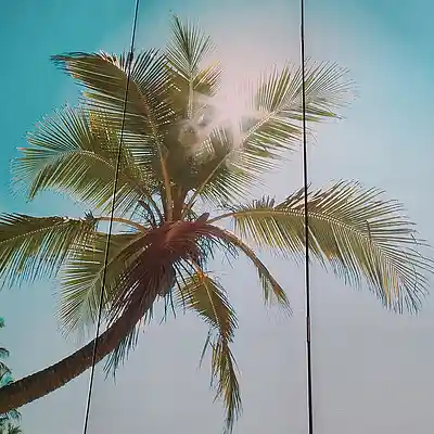 Picture for song '20241120_171425_1_FS_CAPi' by artist '786 scheint-Al'lahs Bande'