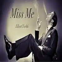 Picture for song 'Miss Me' by artist 'Elliott Yorkk'