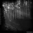 Picture for song 'Slender Man' by artist 'lvl100caterpie'