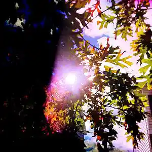 Picture for song '"Struggles Pt.2"' by artist 'Prod.LavishTheOne'