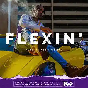 Picture for song 'Flexin'' by artist 'Robin Wesley'