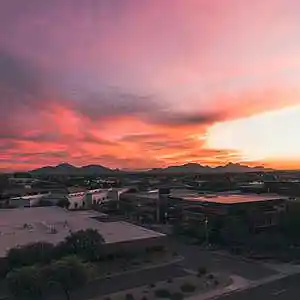 Picture for song '"PHOENIX"- Prod. Yp Chiefin & whoDeany' by artist 'whoDeanyBeatz'