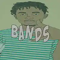 Picture for song 'Bands' by artist 'BaysFynest Beatz'