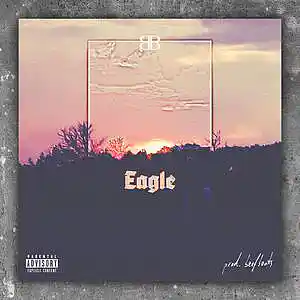 Picture for song 'Eagle (prod. beefbeats)' by artist 'prod CPK'