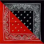 Picture for song 'BTB(ft Sleez&Yung Drew)-Duckin' by artist 'BTB(Pittsburgh)'