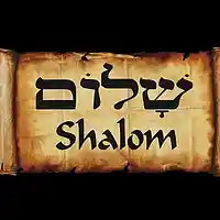 Picture for song 'SHALOM (CAPA)' by artist 'capa'