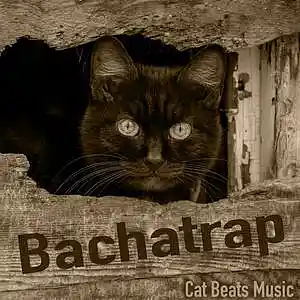 Picture for song 'Bachatrap' by artist 'Cat Beats'