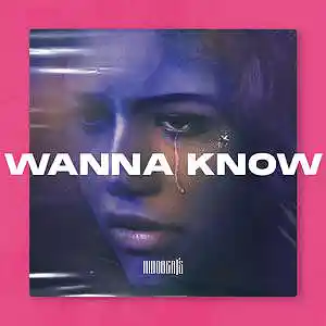 Picture for song 'Euphoria Type Beat - Wanna Know' by artist 'Hido'