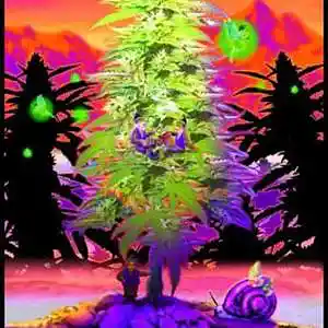 Picture for song 'JANT's SUPER LIT' by artist 'Jay Coda Productions'