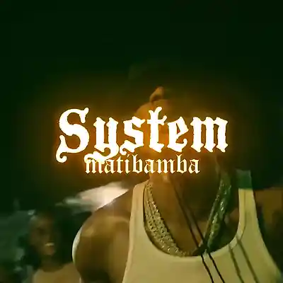 Picture for song 'System - Dancehall Type Beat' by artist 'matibamba'