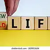 Picture for song 'New life' by artist 'NCsFinest97 Dj Stew'
