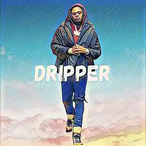 Picture for song 'DRIPPER - BUY 1 GET 4 FREE - Gunna Type Beat' by artist 'TSH'