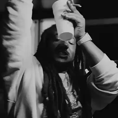 Picture for song 'WHATCHAMACALLITS [westcoast hip hop, bay area beat' by artist 'Xan Brickz'