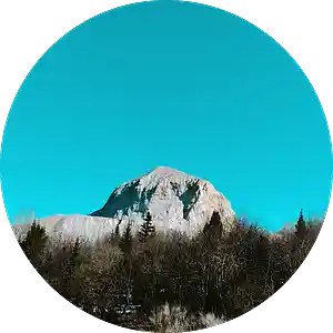 Picture for song 'Dirz - Boring' by artist 'Dirz'