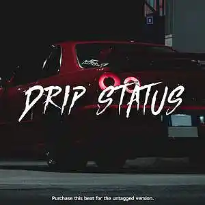 Picture for song '"DRIP STATUS" Lil Baby Type Beat' by artist 'HIWYER'
