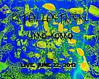 Picture for song 'python swirl' by artist 'Intellectrical'