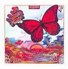 Picture for song 'Passing Fancy' by artist 'Johanna Renfro'