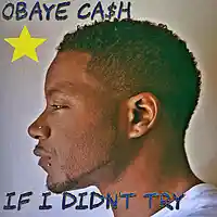 Picture for song 'If I Didnt Try (Prod By PTH)' by artist 'ObAYE CASh'