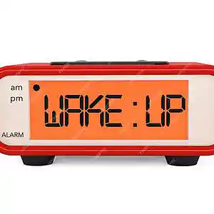 Picture for song 'Wake Up' by artist 'Pete Moss and the Weed Wackers'
