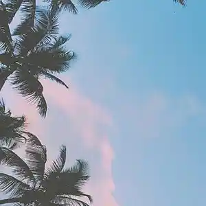 Picture for song 'Cloud' by artist 'MOLODOi'