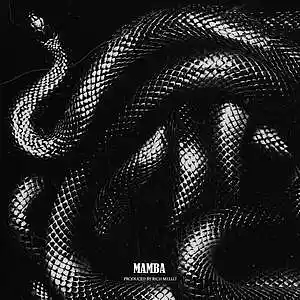 Picture for song 'Mamba' by artist 'RICH MELLO'