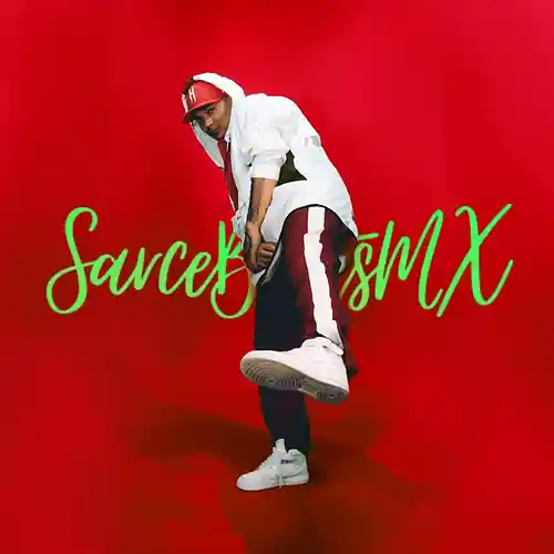 Picture for song 'scars' by artist 'Sarcebeatsmx'