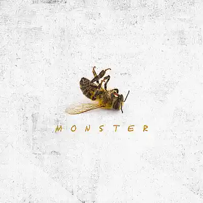 Picture for song 'Monster' by artist 'Shake the Tree'