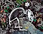 Picture for song 'The Graves That I've Dug' by artist 'Tim Green'