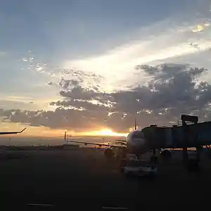 Picture for song 'Wacko Dreamer - Dreams About You' by artist 'Wacko Dreamer'