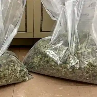 Song picture of 'Dankful'