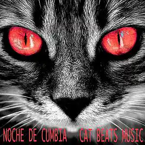 Picture for song 'Noche De Cumbia' by artist 'Cat Beats'