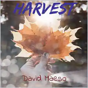 Picture for song 'A Play Or A Pray' by artist 'David Maeso'