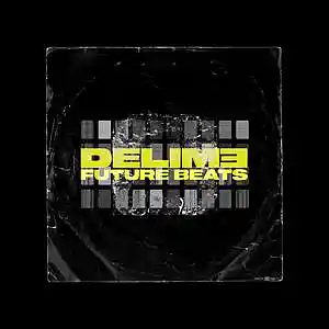 Picture for song 'SOUL Outro' by artist 'DELIME'