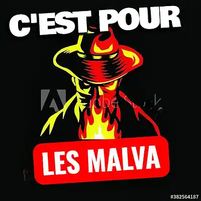 Picture for song 'PourLesMalva - LES GARS DU WOOD' by artist 'LES GARS DU WOOD'