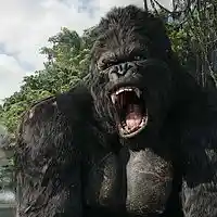 Picture for song 'The Congo (Beat Sold)' by artist 'Mozart Jones Productions (Mozarts Beats)'