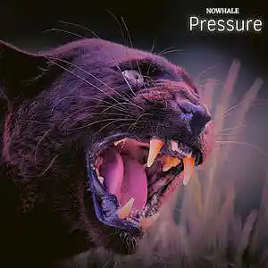 Picture for song 'NoWhale - Pressure (drill)' by artist 'NoWhale'