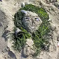 Picture for song 'Nantucket Face Plant: Chosen By The Voters' by artist 'paul gorman and the hypnotist collectors'