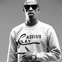 Picture for song 'Low (Free DL)' by artist 'PLATINUM SELLERS BEATS'