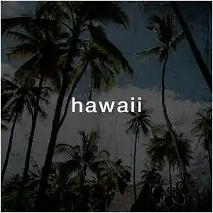 Picture for song 'Hawaii (Boom Bap)' by artist 'Puls Ever'