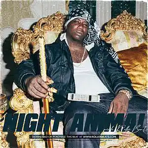 Picture for song '*GANG* NIGHT ANIMAL (@rollerbeats)' by artist 'Rollerbeats'