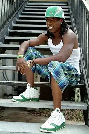 Artist picture