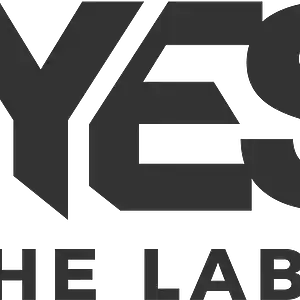 Picture for song 'King - The Comeback' by artist 'YES The Label'